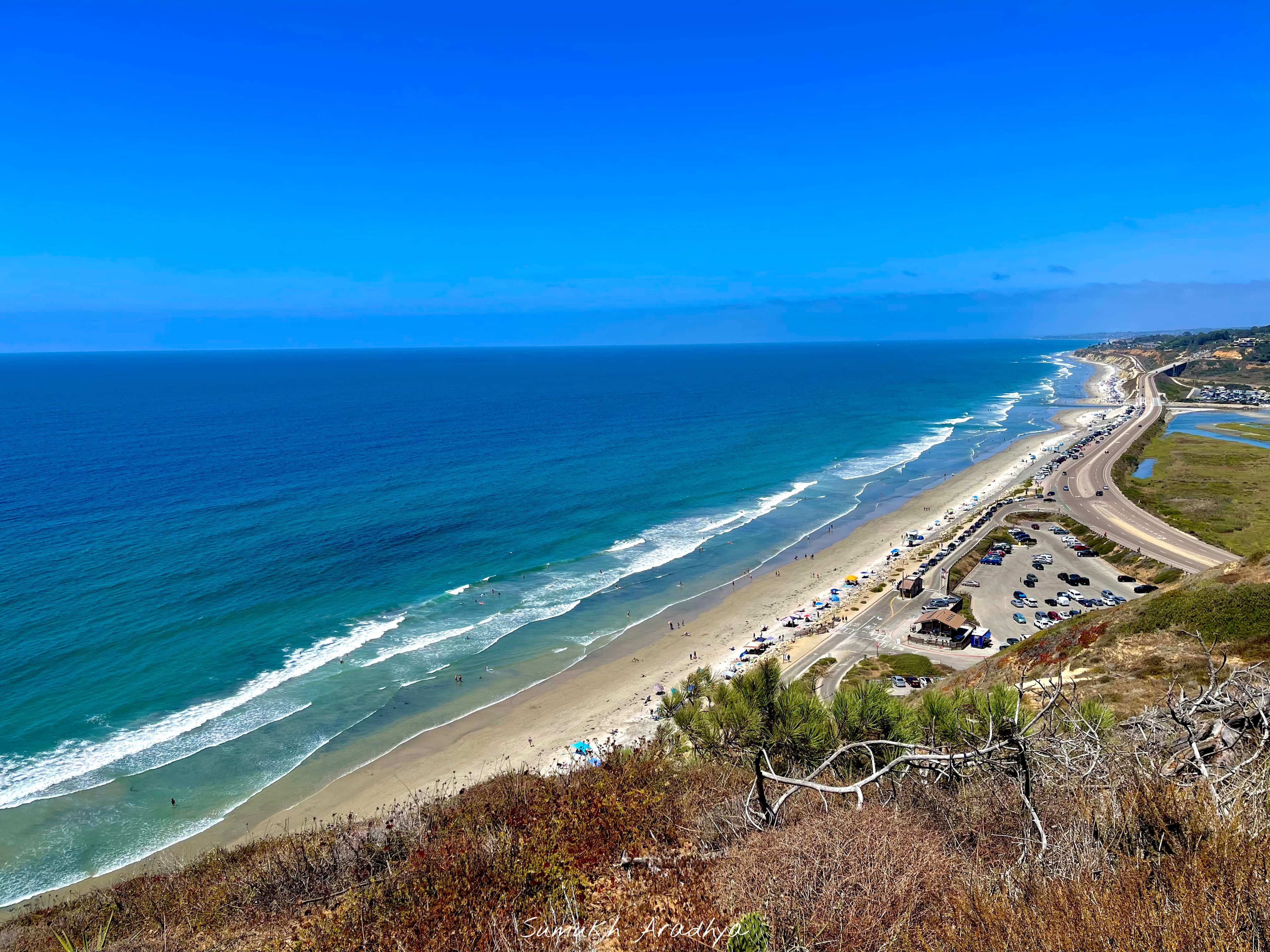 TORREY PINES RESERVE · SAN DIEGO